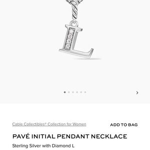 NEVER WORN - Silver Initial L Pendant Necklace